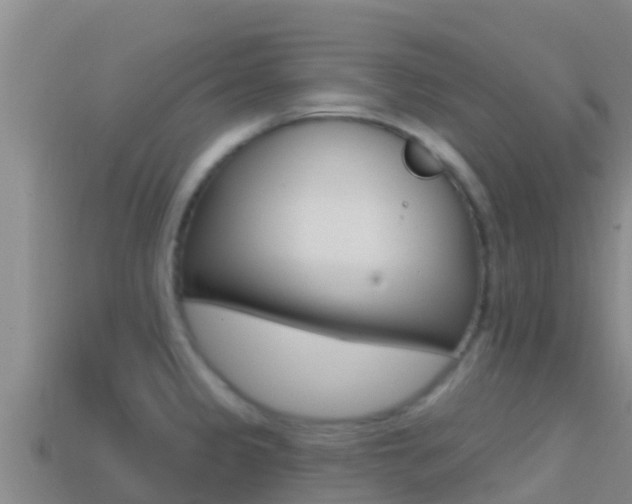 X0000114421333200910161045