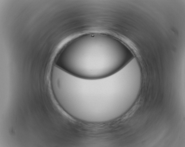 X0000114421334200910161045