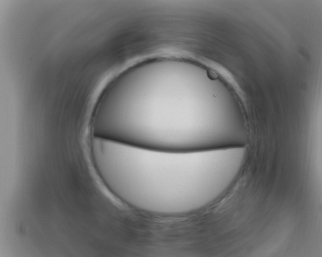 X0000114421335200910161045