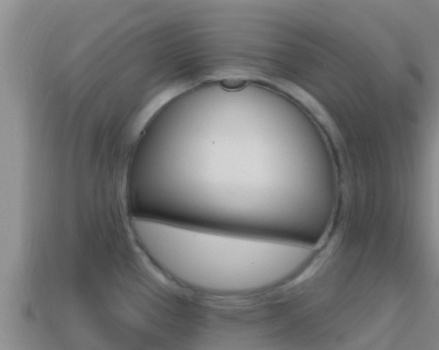 X0000114421337200910161045