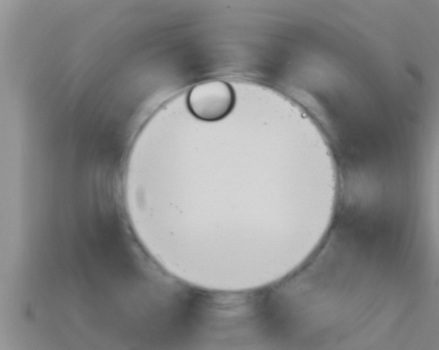 X0000114421338200910161045