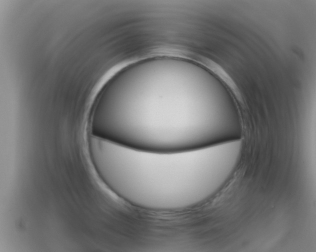 X0000114421339200910161045