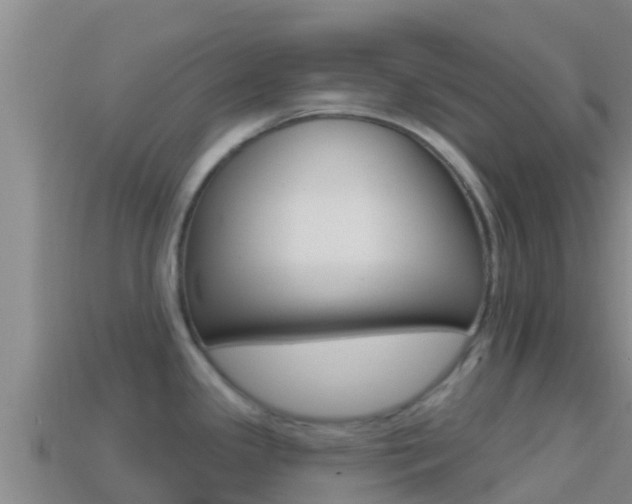 X0000114421341200910161045