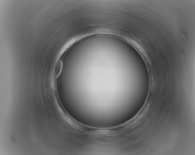 X0000114421342200910161045