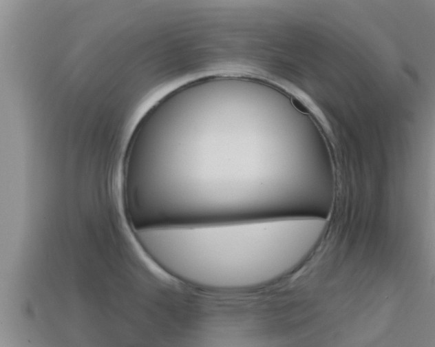 X0000114421343200910161045
