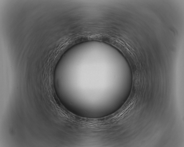X0000114421345200910161044