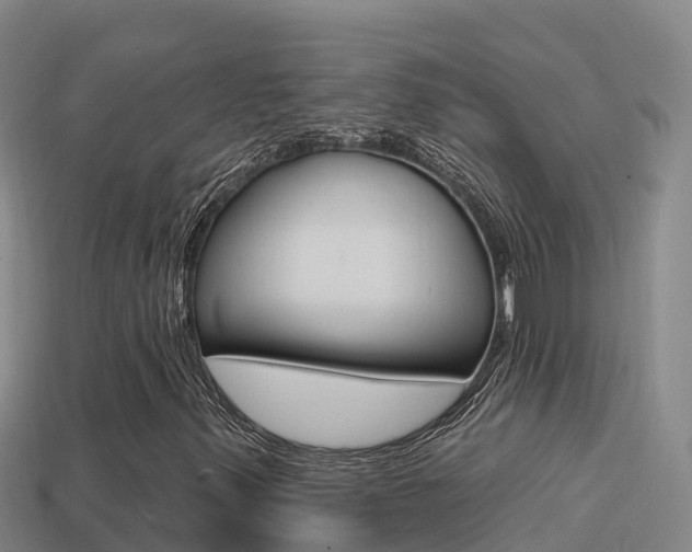 X0000114421347200910161044