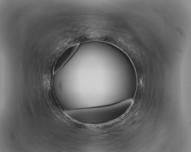 X0000114421348200910161044