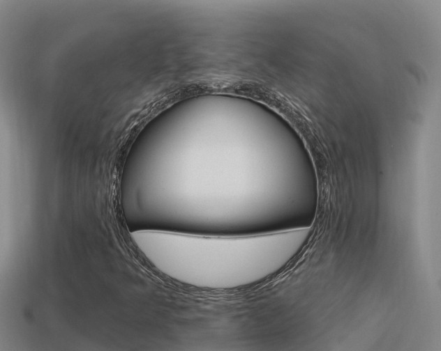 X0000114421349200910161044