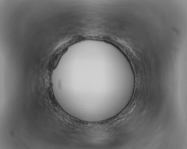 X0000114421350200910161044