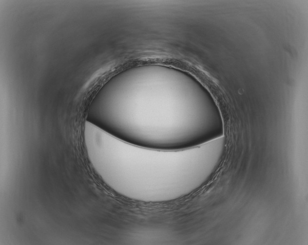 X0000114421351200910161044