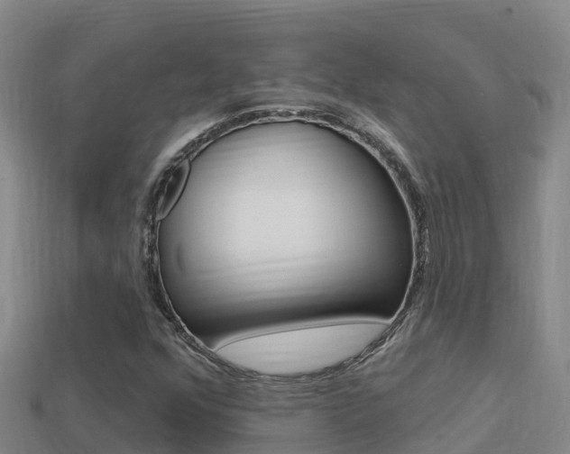 X0000114421352200910161044