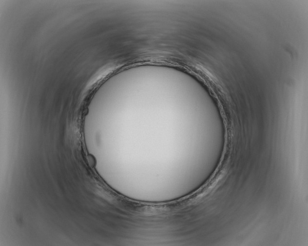 X0000114421354200910161044