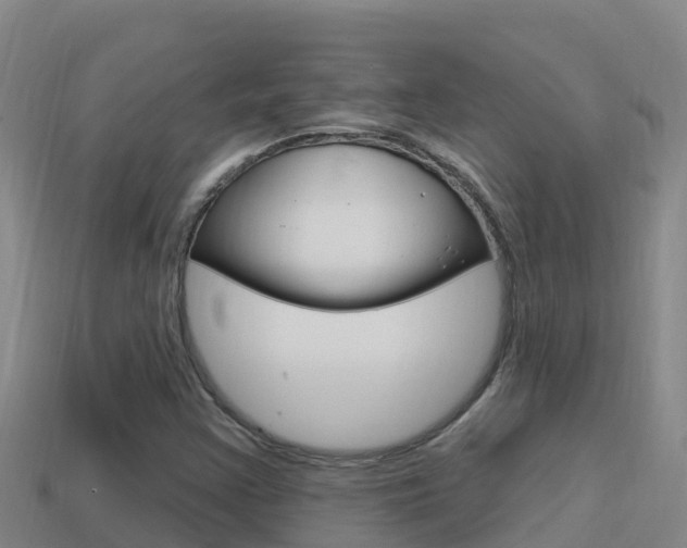 X0000114421355200910161044