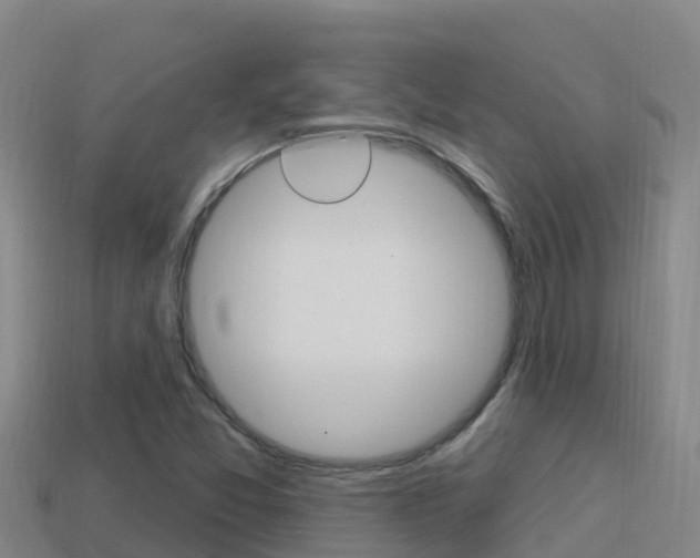 X0000114421357200910161044