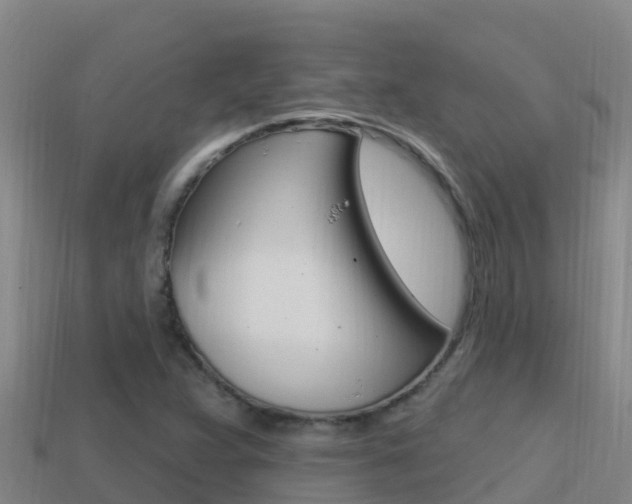 X0000114421359200910161044