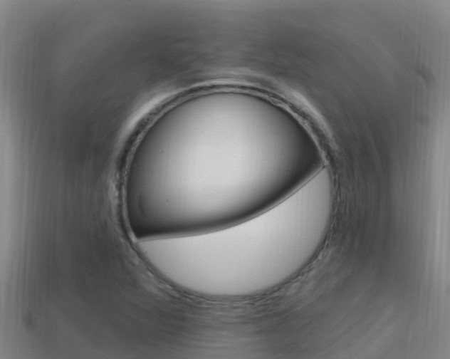 X0000114421360200910161044