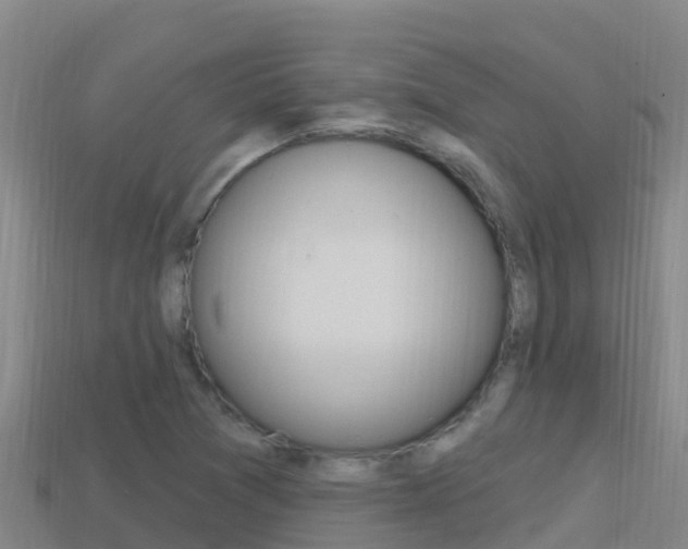 X0000114421361200910161044