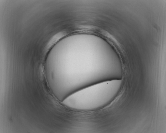 X0000114421362200910161044
