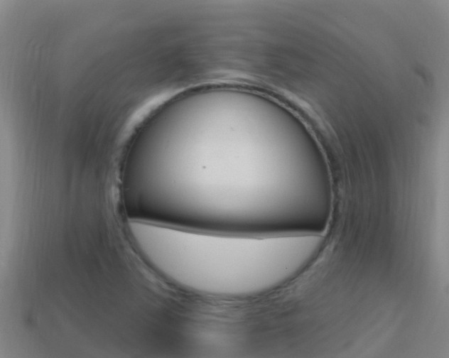 X0000114421363200910161044