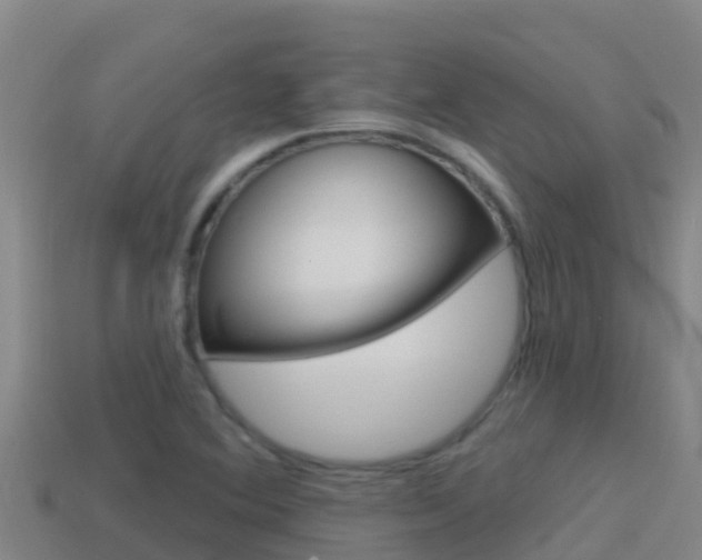 X0000114421364200910161044
