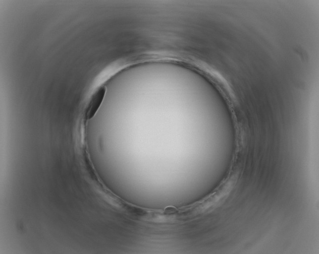 X0000114421365200910161044