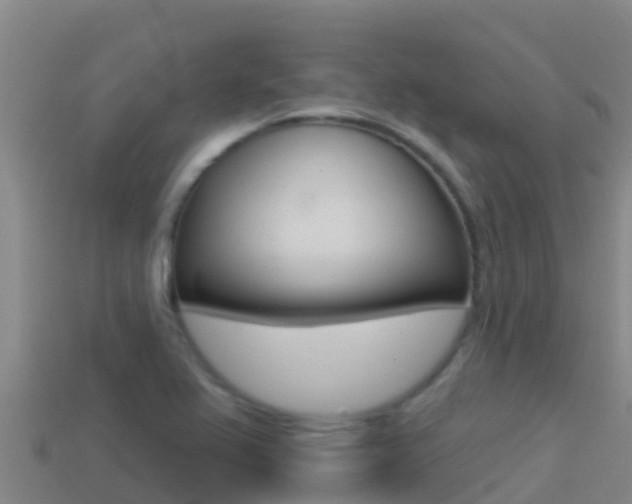 X0000114421367200910161044