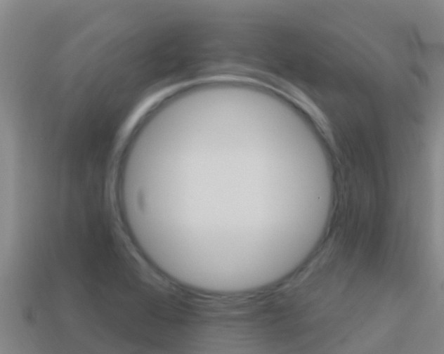 X0000114421368200910161044