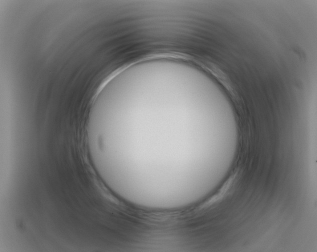 X0000114421369200910161044