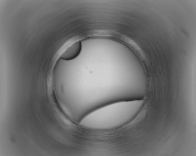X0000114421370200910161044