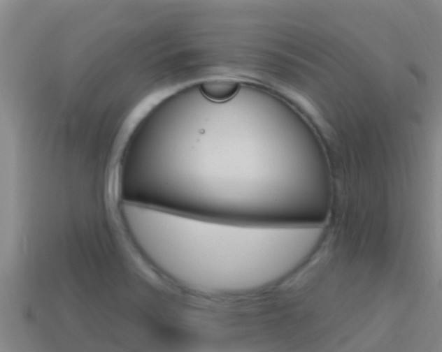 X0000114421371200910161044