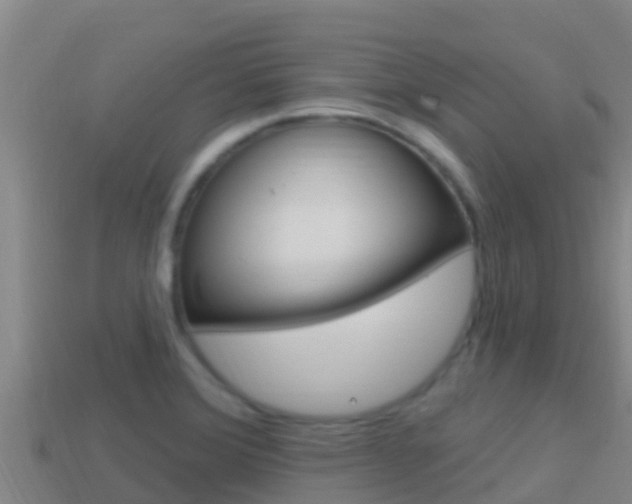 X0000114421372200910161044