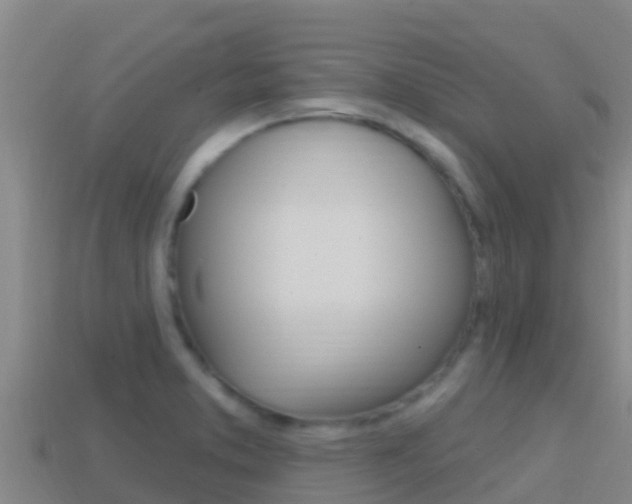 X0000114421373200910161044