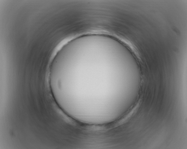 X0000114421374200910161044
