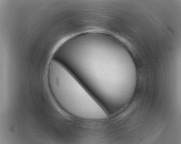 X0000114421375200910161044