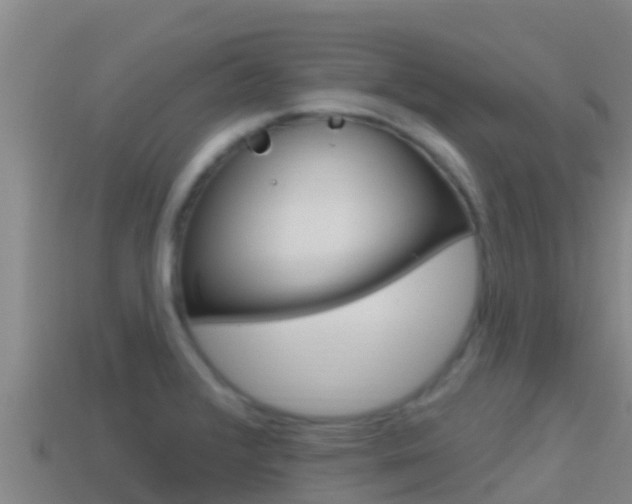 X0000114421376200910161044