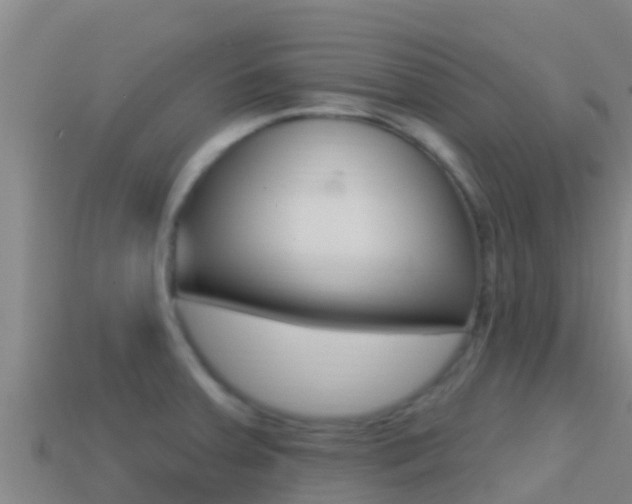 X0000114421379200910161044