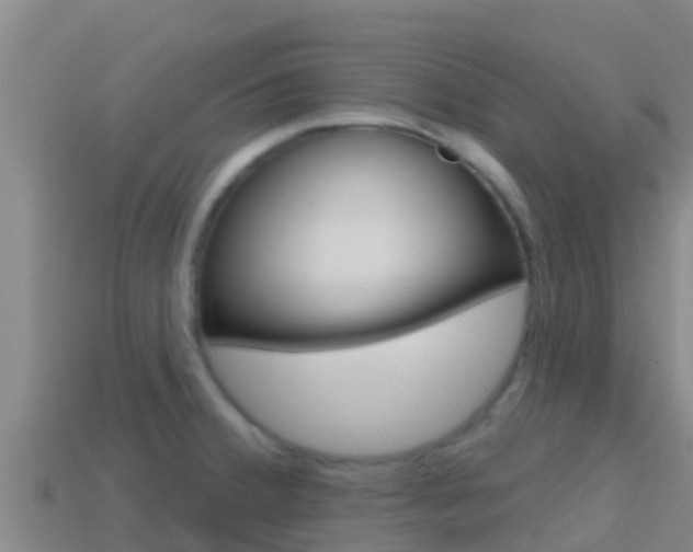 X0000114421380200910161044