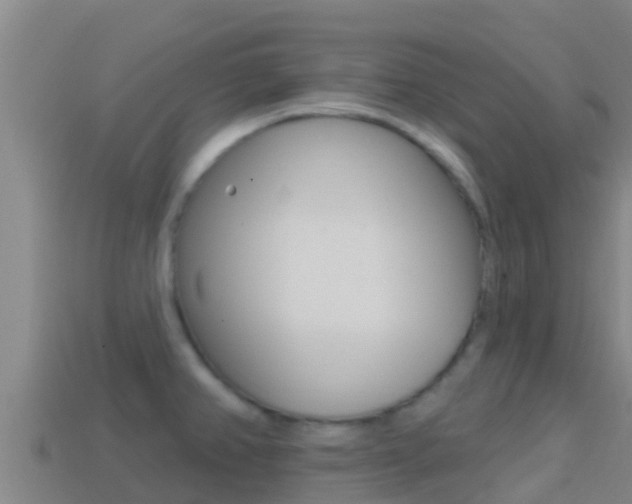 X0000114421382200910161044
