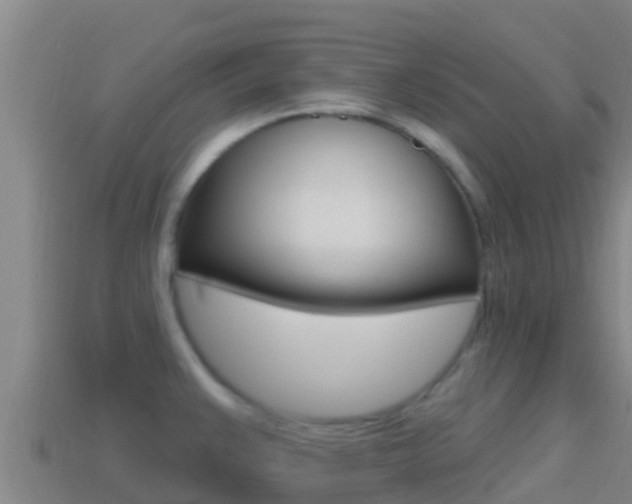 X0000114421383200910161044