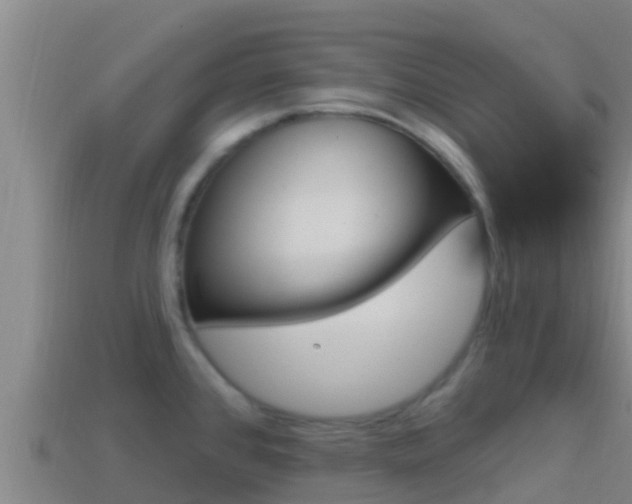 X0000114421384200910161044