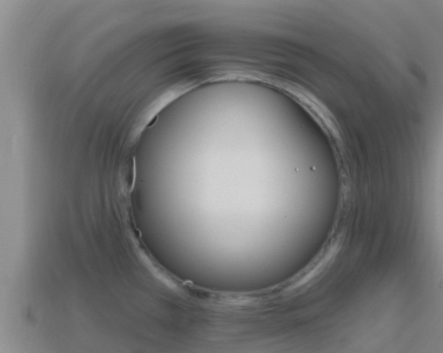 X0000114421385200910161044