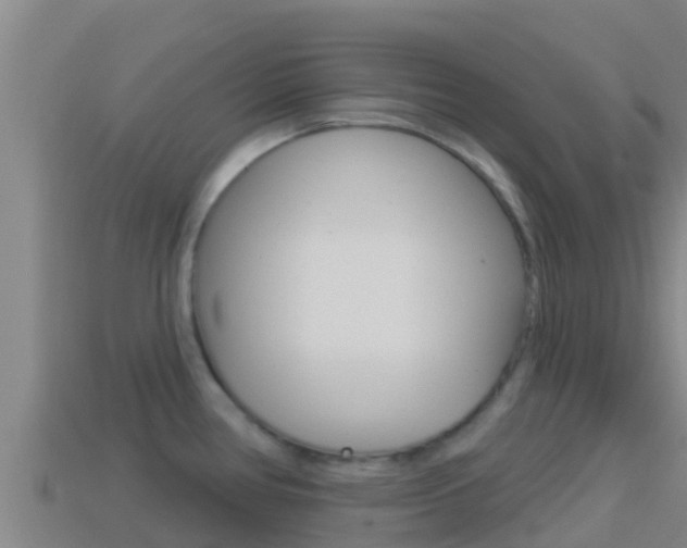 X0000114421386200910161044