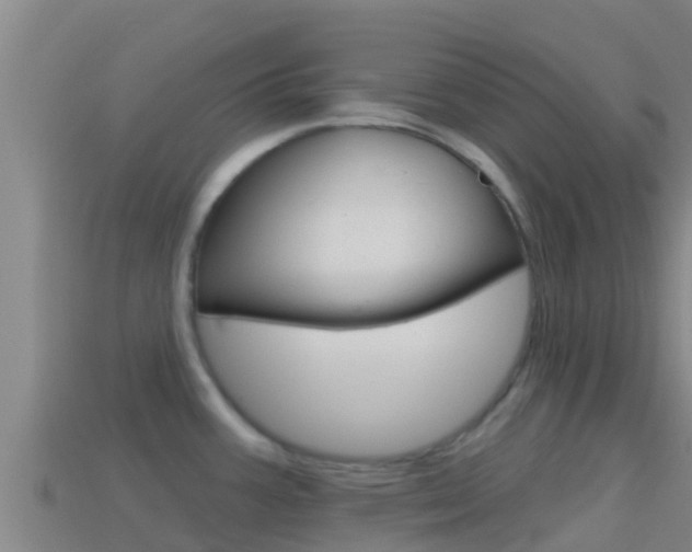 X0000114421387200910161044