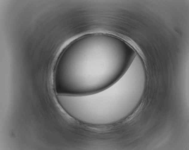 X0000114421388200910161044