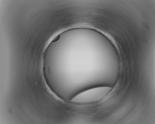 X0000114421390200910161044