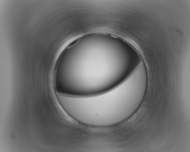 X0000114421392200910161044