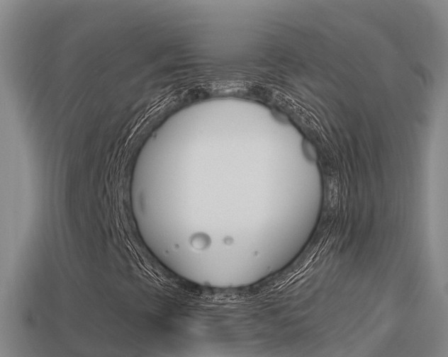 X0000114421393200910161043