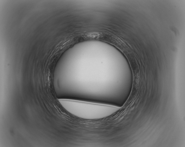 X0000114421394200910161043