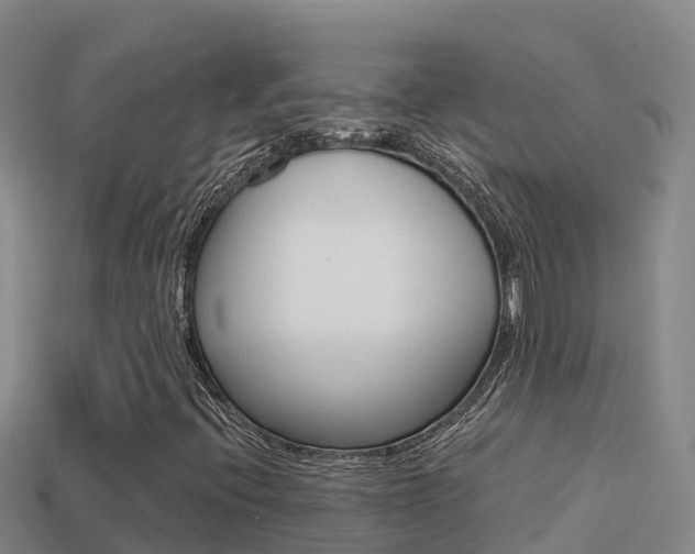 X0000114421396200910161043